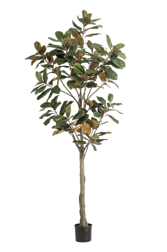 Magnolia Denudata artificiel