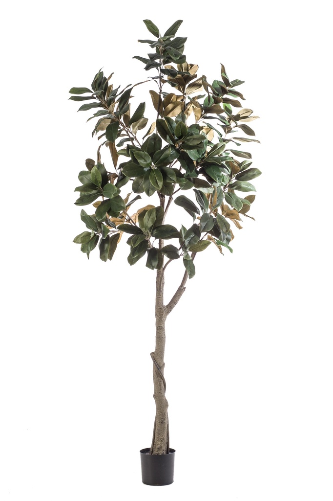 Magnolia Denudata artificiel