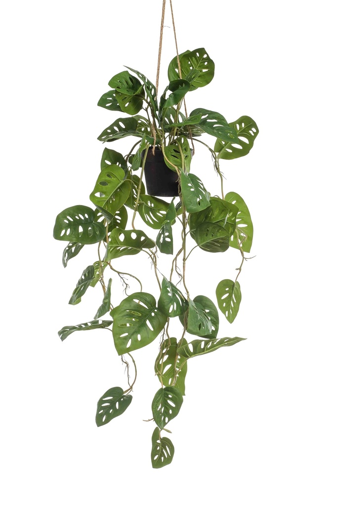 Monstera monkey à suspendre artificiel