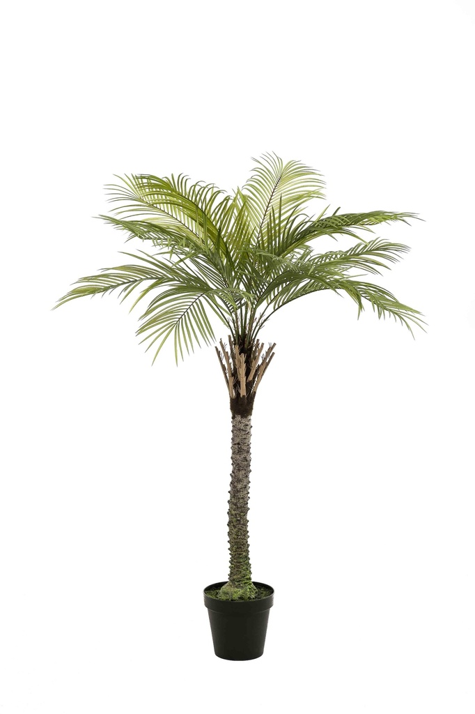 Palmier Phoenix deluxe artificiel