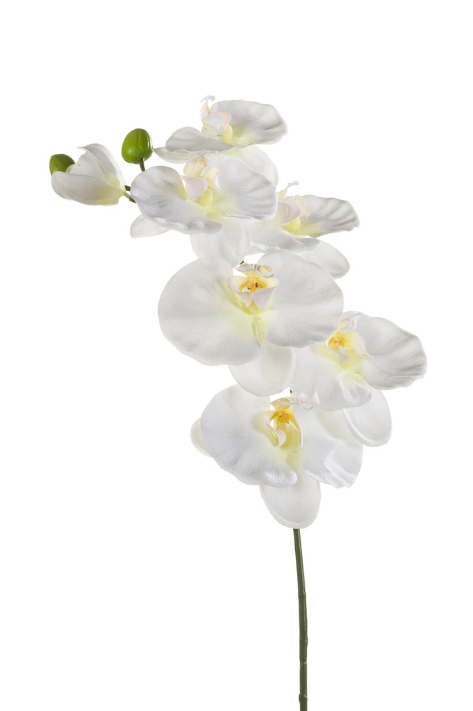 Phalaenopsis en branche artificiel