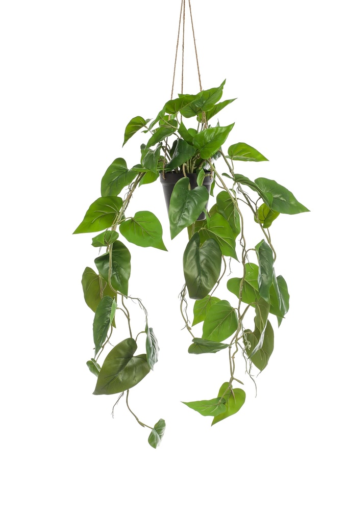 Philodendron scandens à suspendre artificiel