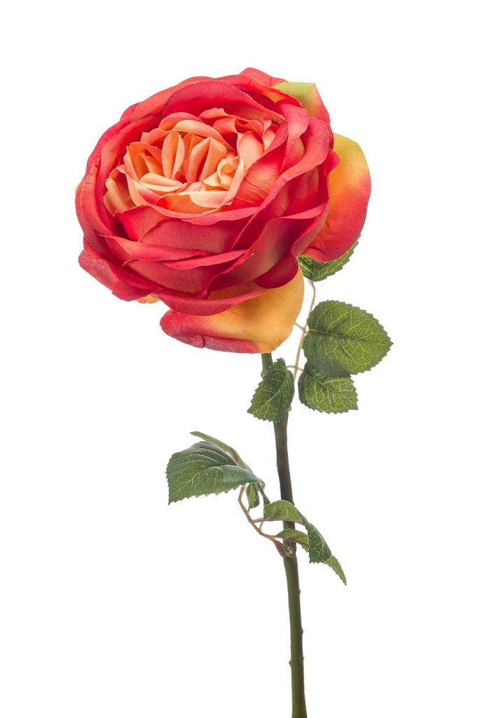 Rose vicky artificielle