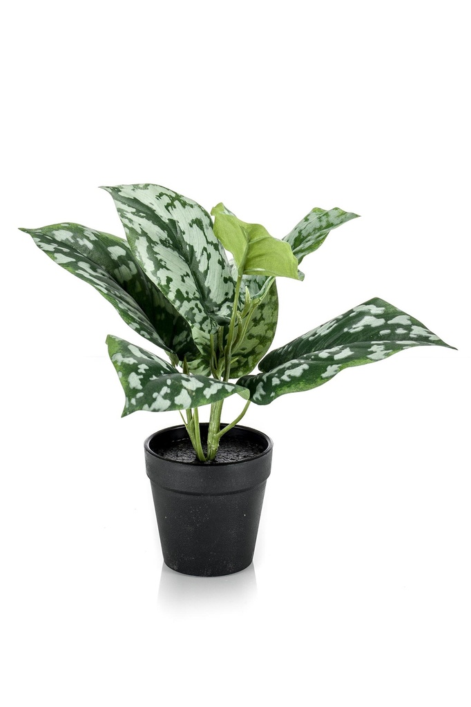 Scindapsus pictus pot noir artificiel
