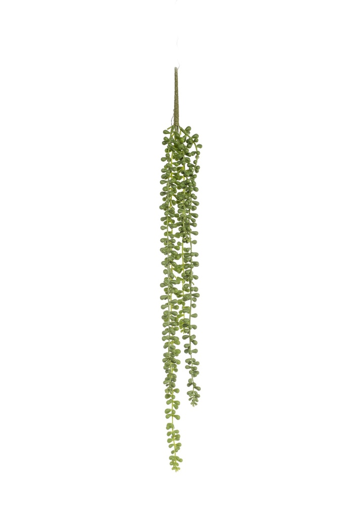 Senecio retombant artificiel