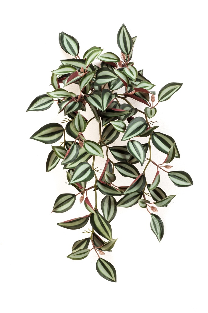 Tradescantia retombant artificiel