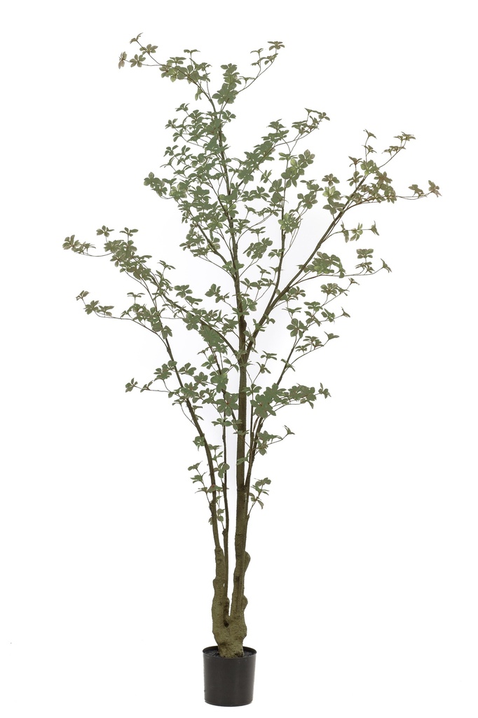 Tropaeolum vert artificiel
