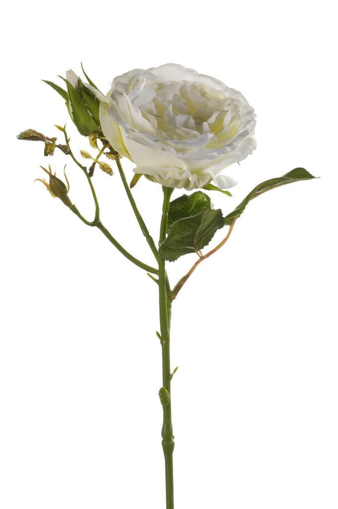 Rose Anne artificielle