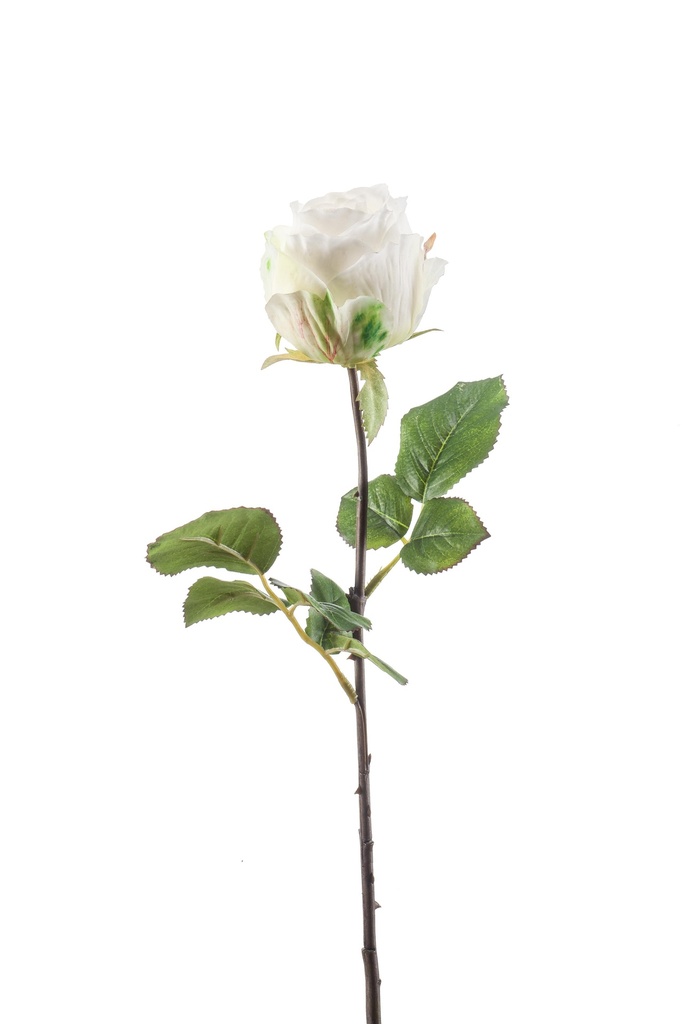 Rose femke artificielle