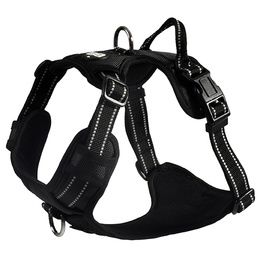 HARNAIS RANDO WALK  M