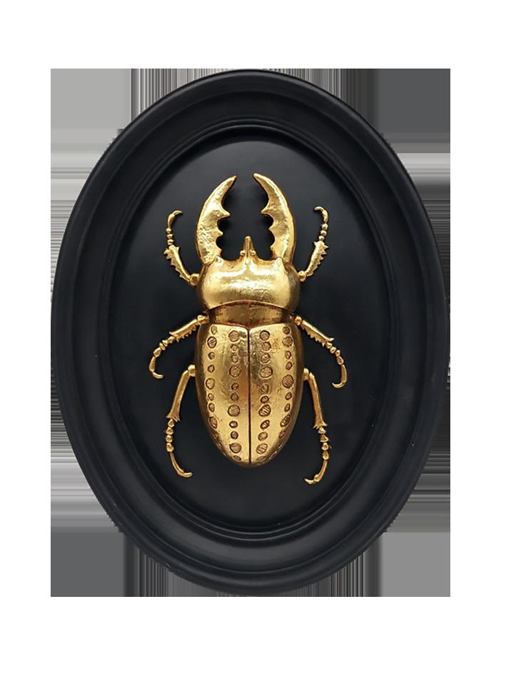 DECO MURALE LUCANE NOIR DORE 187T27-0