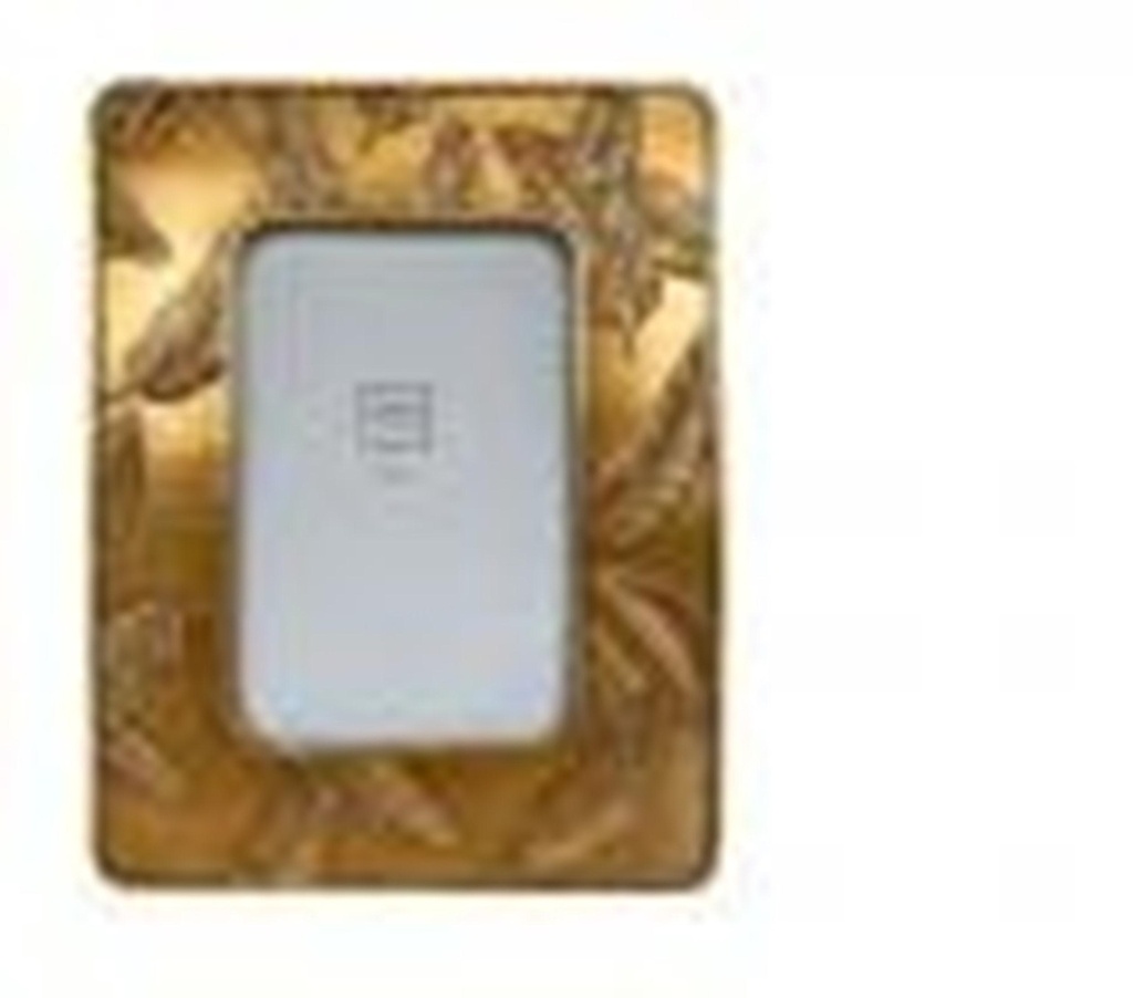 CADRE PLUME DORE 310T15-0