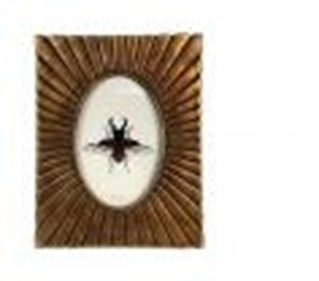 CADRE DORE VUE OVALE 313OT15-0