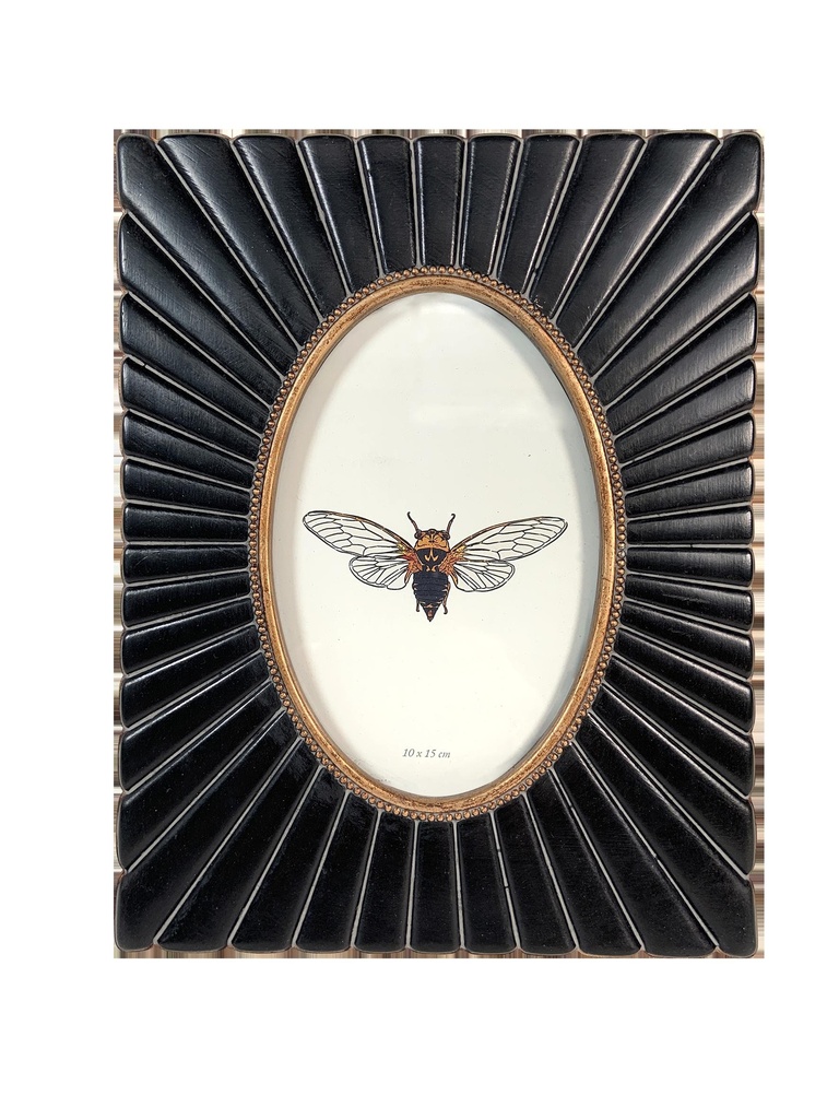 CADRE NOIR/DORE VUE OVALE 313T15-0