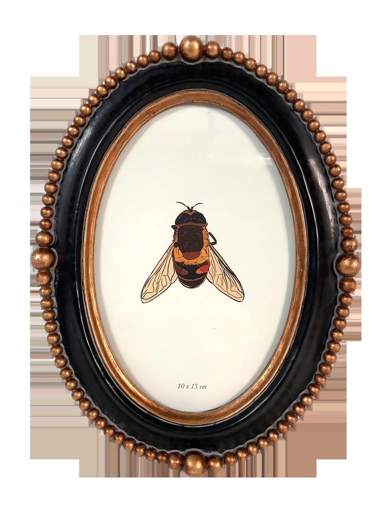 CADRE PERLES N/D OVALE 317T15-0