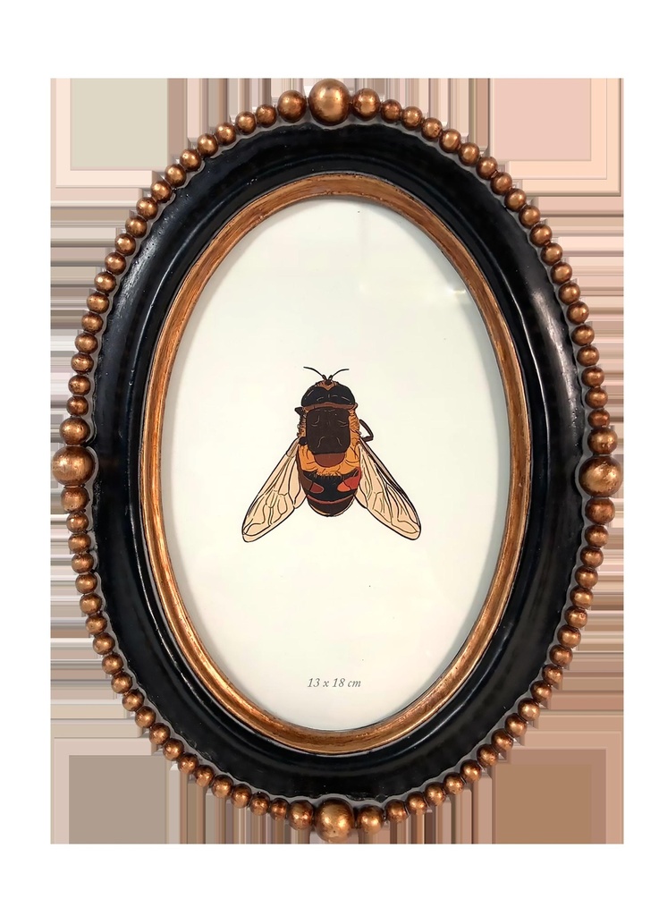 CADRE PERLES N/D OVALE 317T18-0