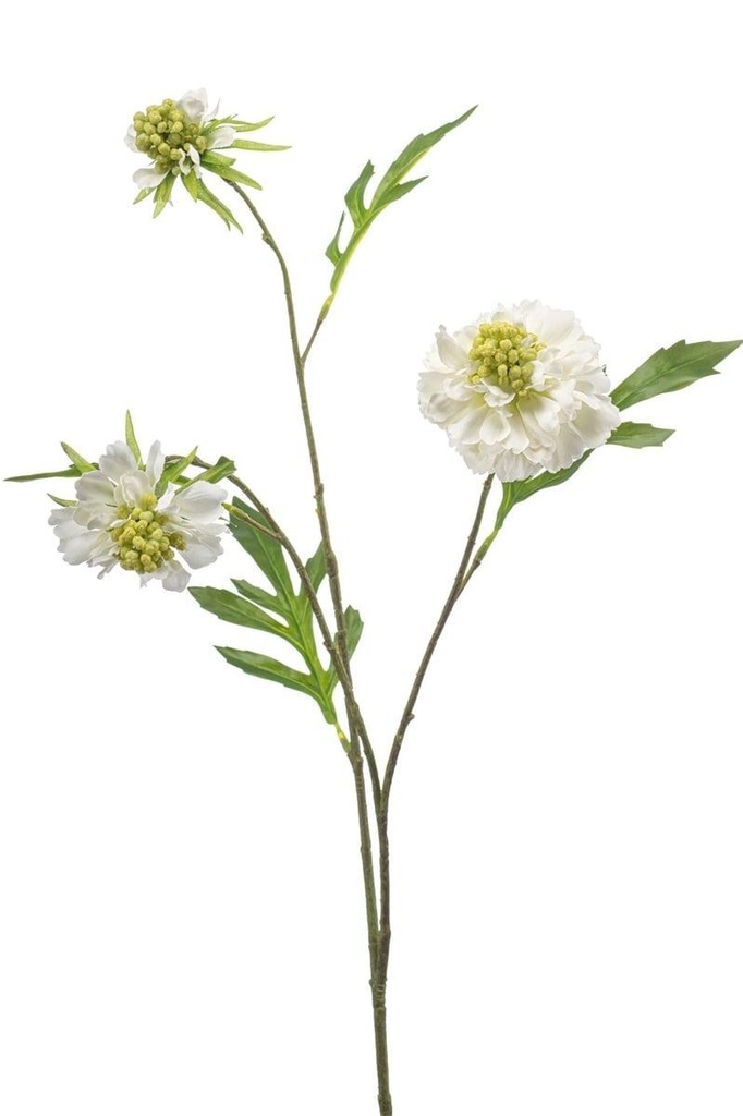 Scabiosa en branche artificielle