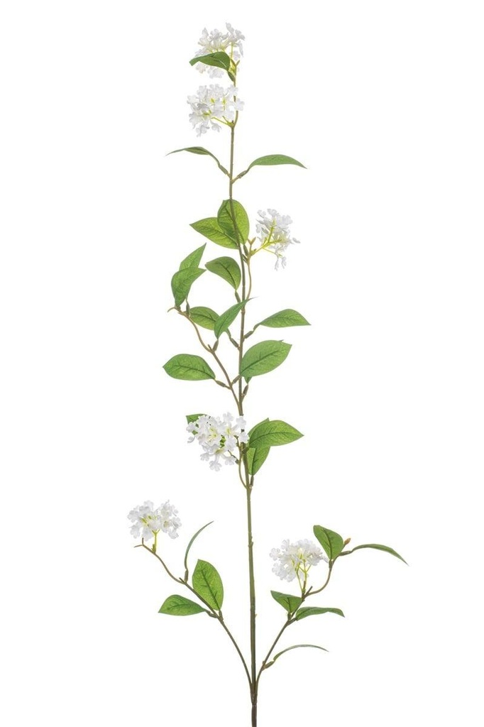 Daphnée en branche artificielle