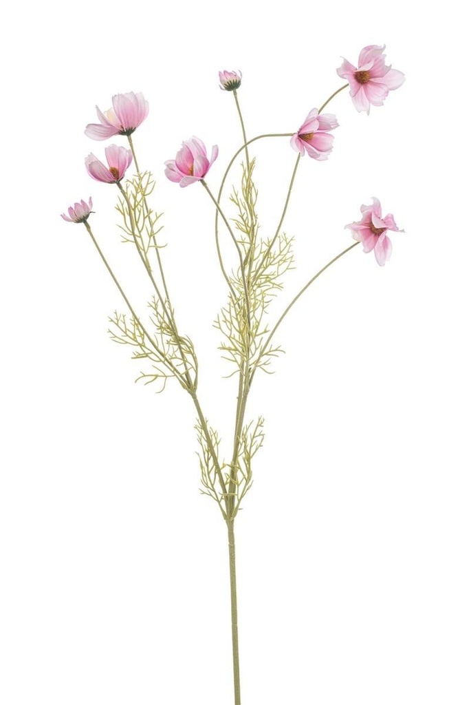 Cosmos en branche artificiel