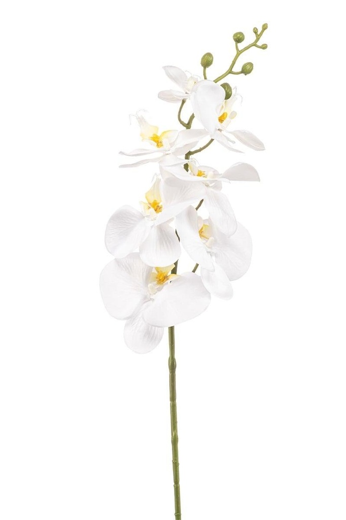 Phalaenopsis en branche artificiel