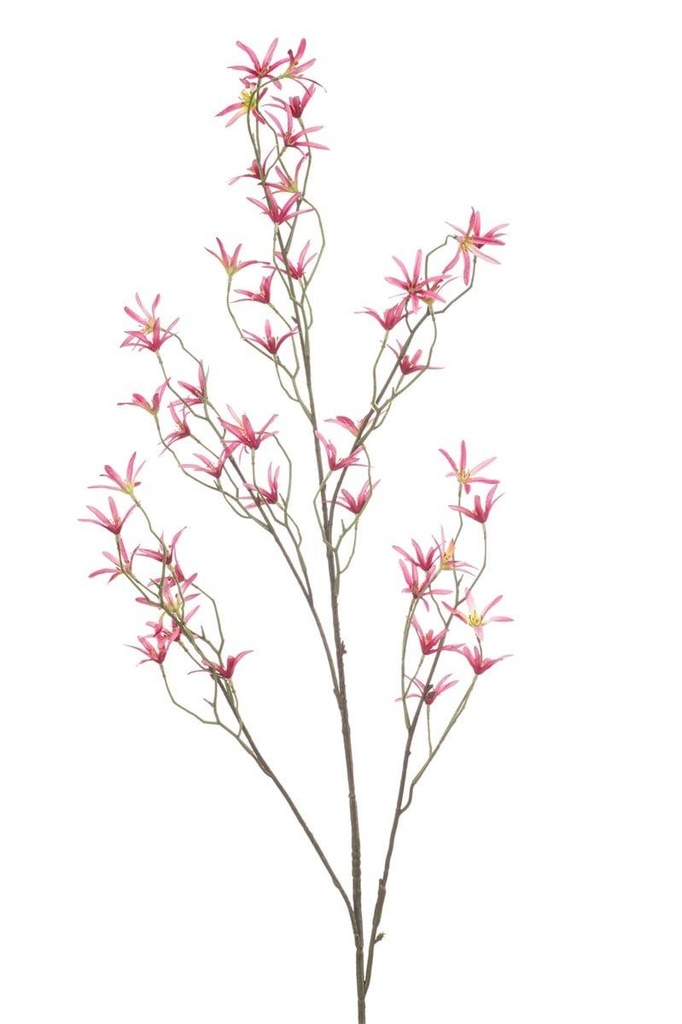 Tweedia en branche artificiel