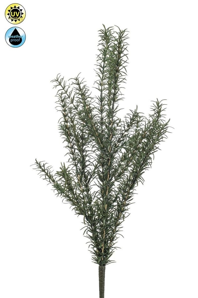 Romarain résistant UV artificiel