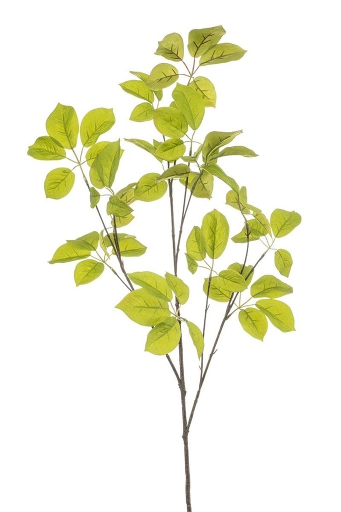 Schefflera en branche artificiel