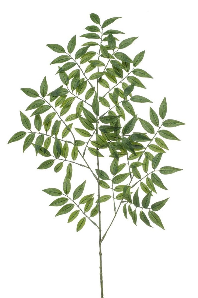 Ruscus en branche artificiel
