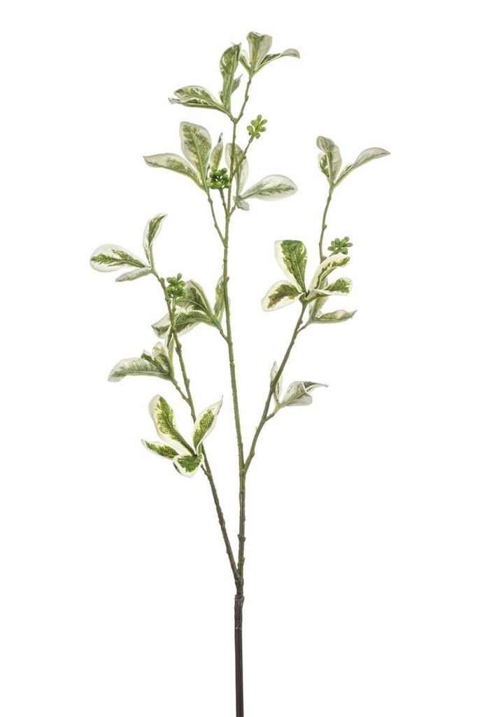 Eunoymus en branche artificiel