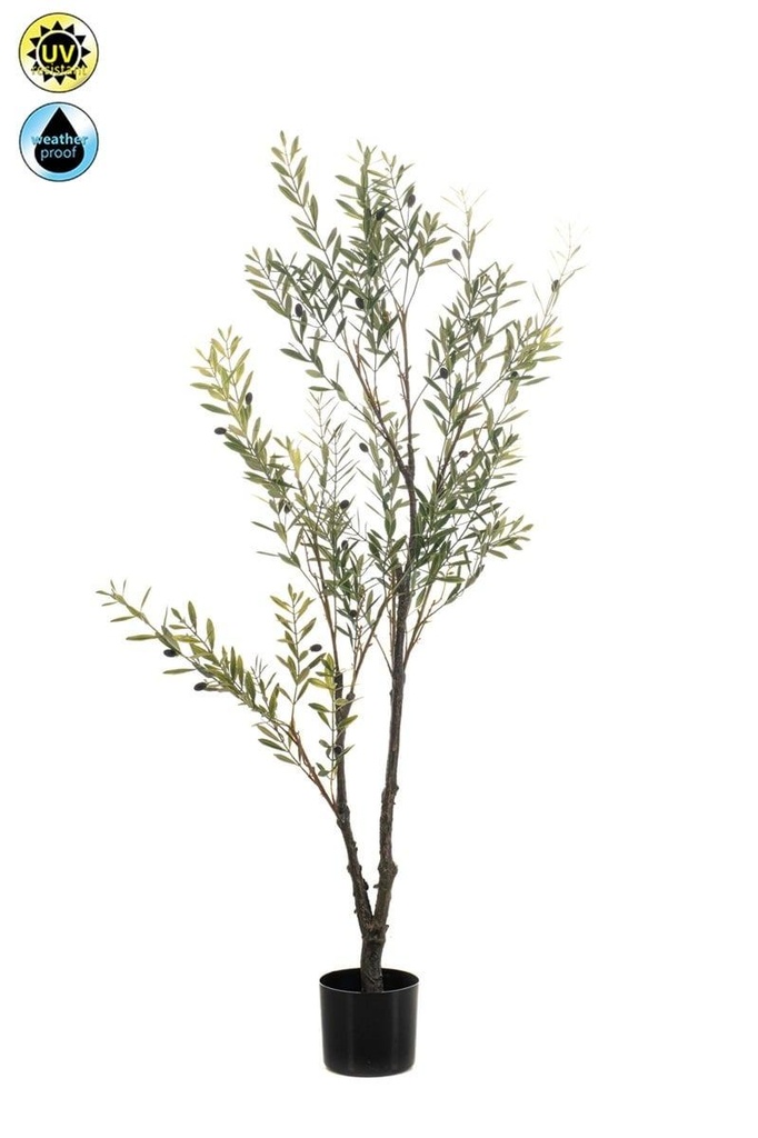 Olivier résistant UV artificiel