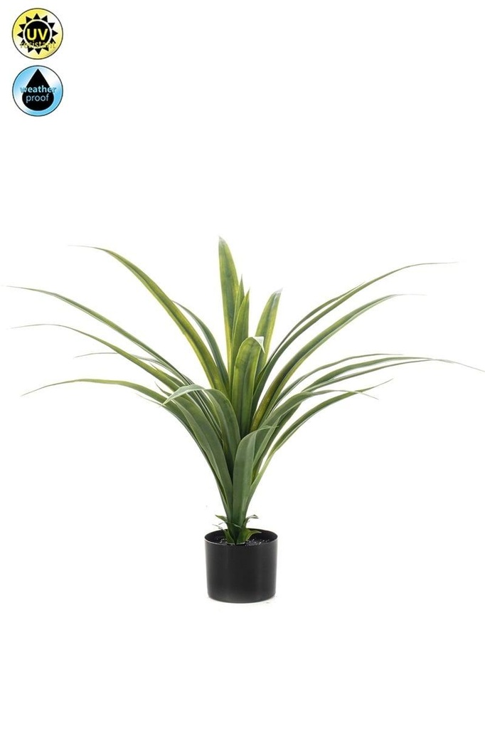 Draceana résistant UV artificiel