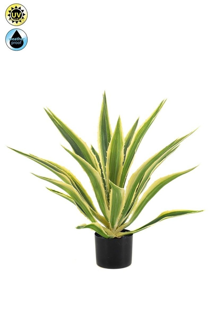 Agave panachée résistante UV artificielle