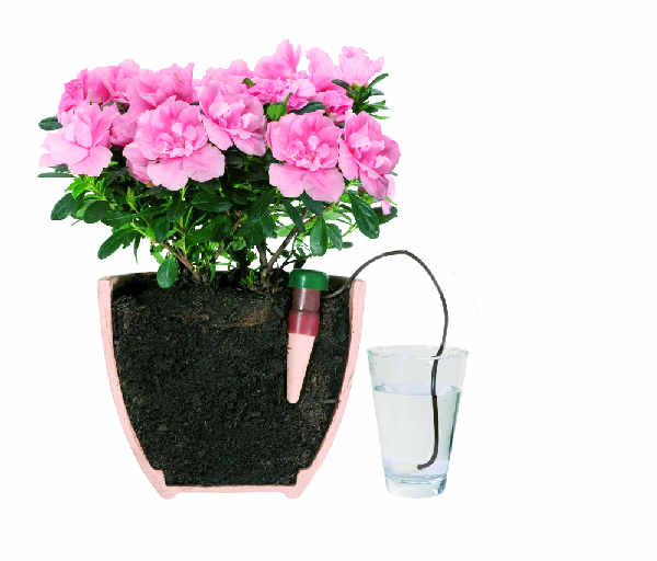 Blumat Arroseur automatique