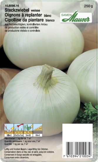 Oignon à replanter 'Blanc de Paris'250G