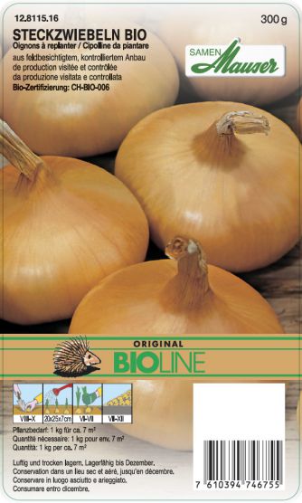 Oignon jaune culture bio anti-bourgeon