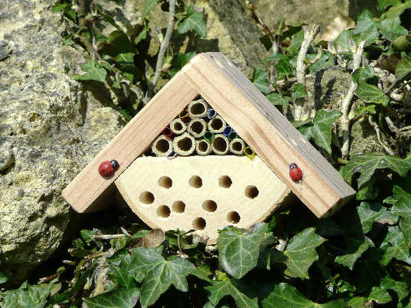 L'hôtel pour insectes petit  Minibug