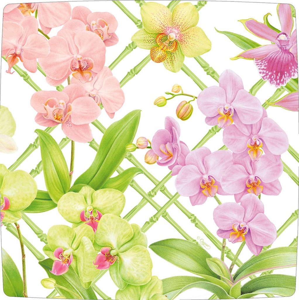 Ass. Salade Orchid conservatory