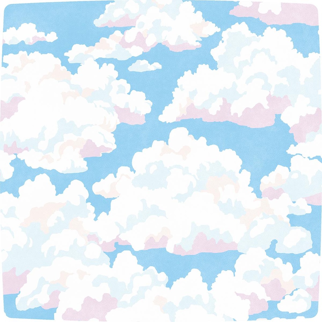 Ass. Salade Blue Skies