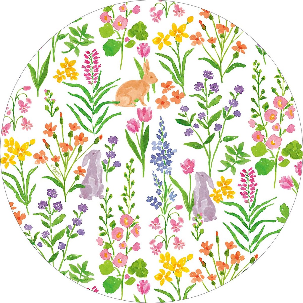 Ass. Salade Bunny field