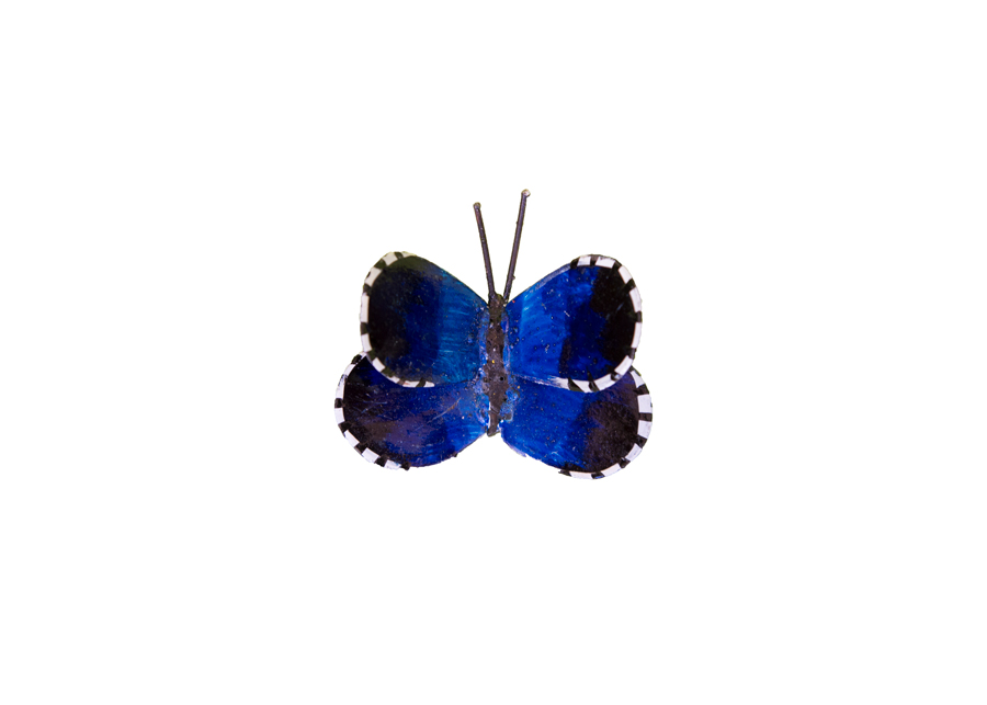 Papillon Bleu