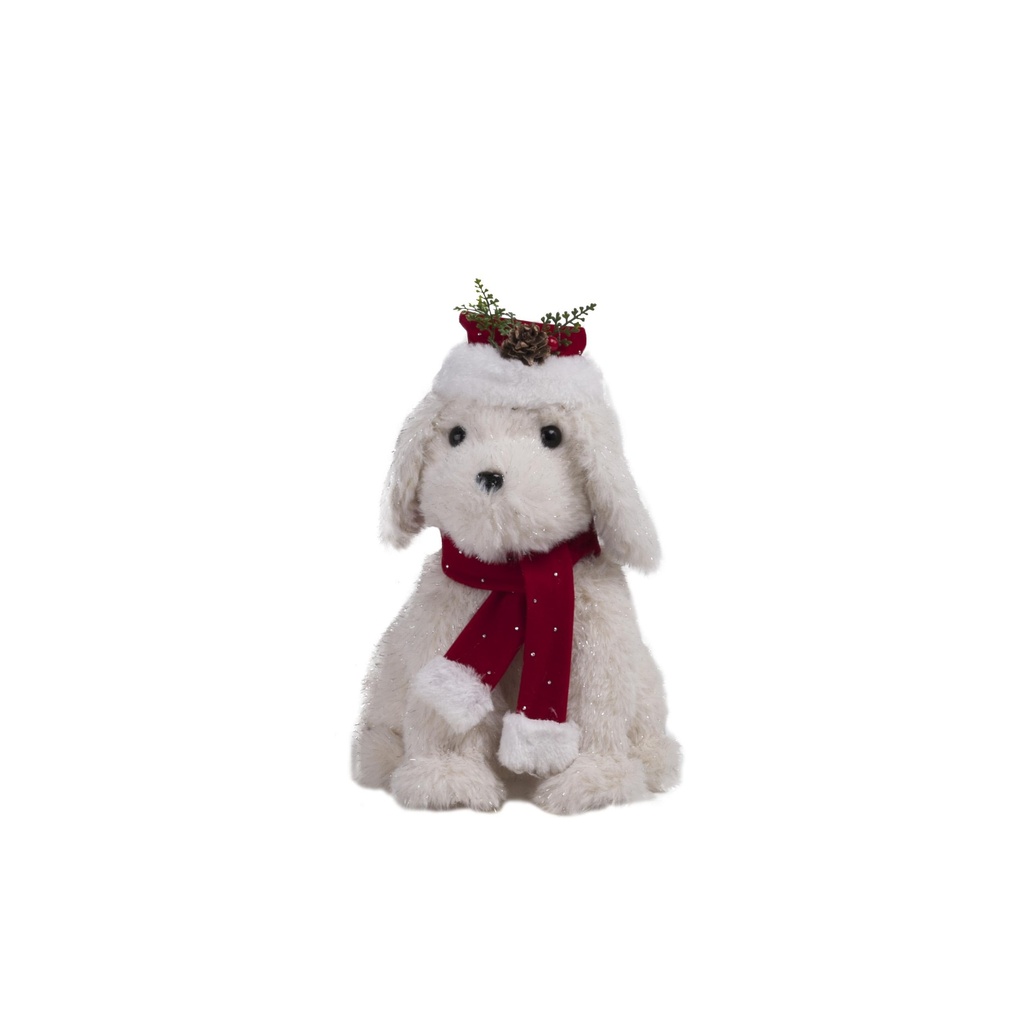 Chiot assis avec bonnet à poser