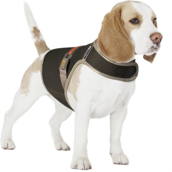 Veste de sécurité lumineuse USB en néoprène, M