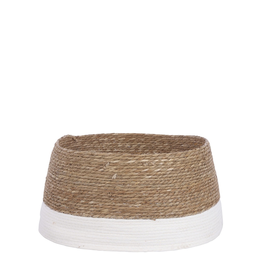 Cache pied de Sapin or