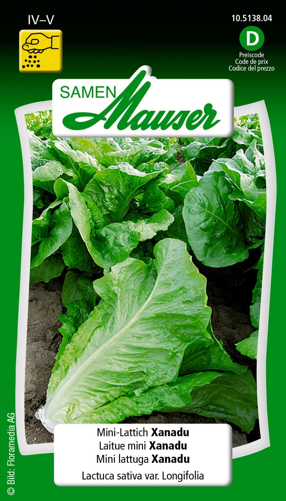 Laitue romaine mini Xanadu