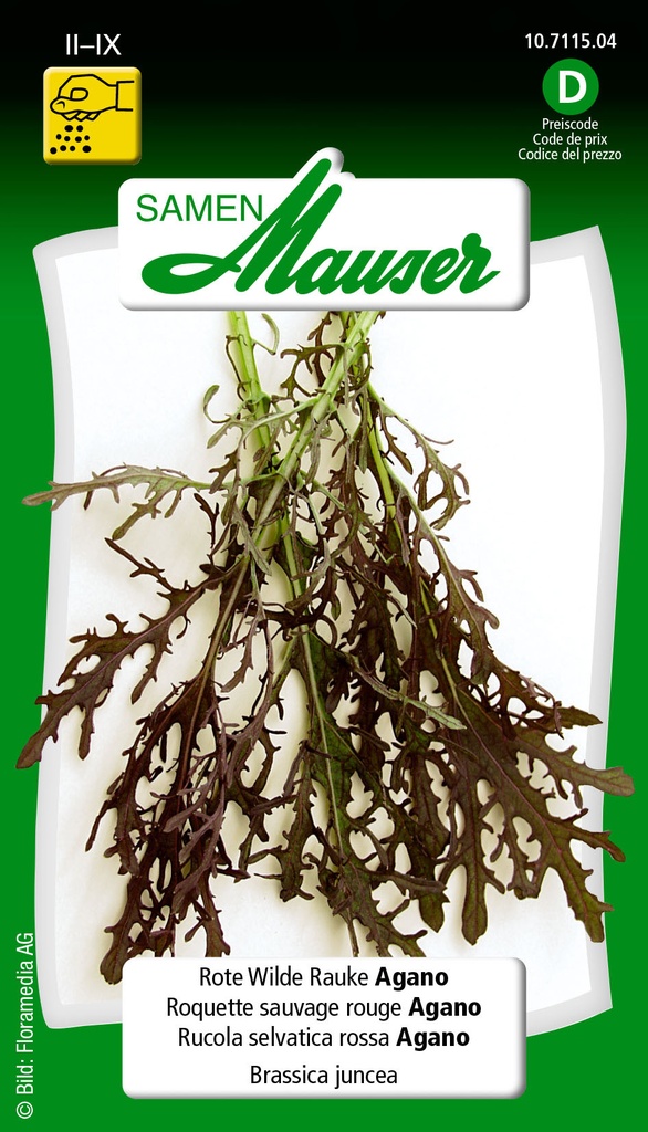 Roquette vivace Agano