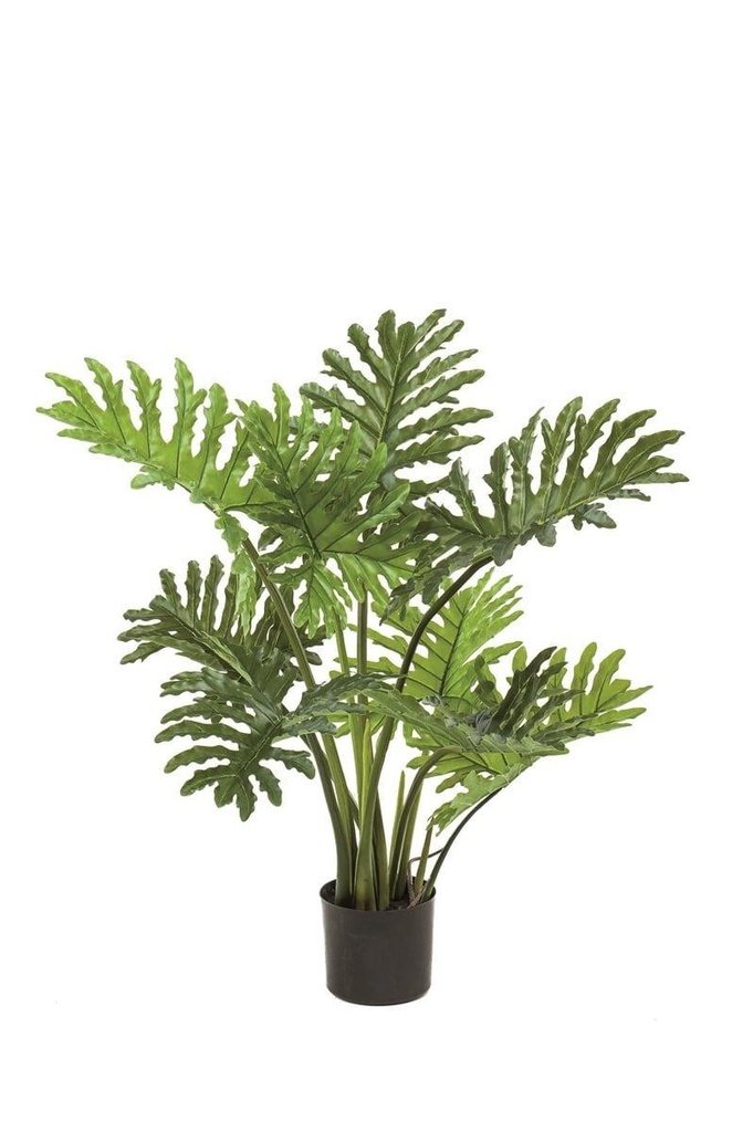 Philodendron selloum artificiel