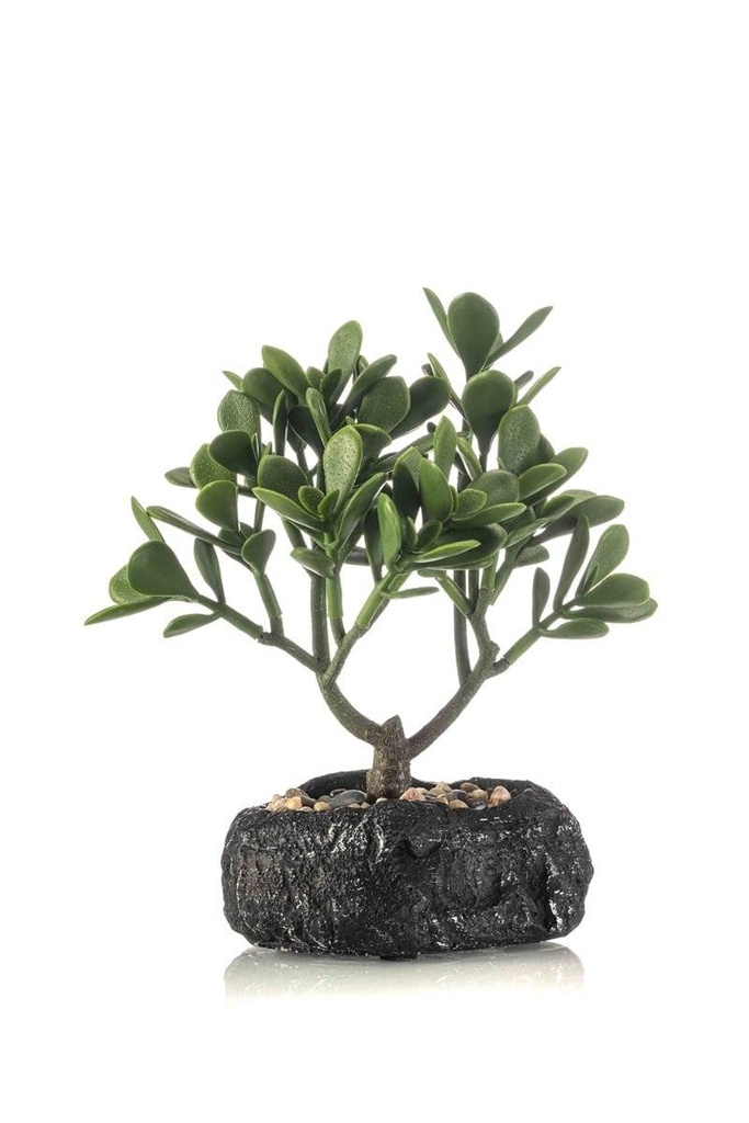 Bonsai crassula artificiel