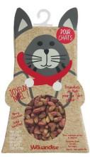 Boîte de Noël chat