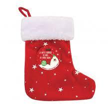 Botte de Noël chat