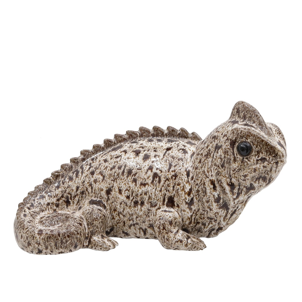 Iguane M